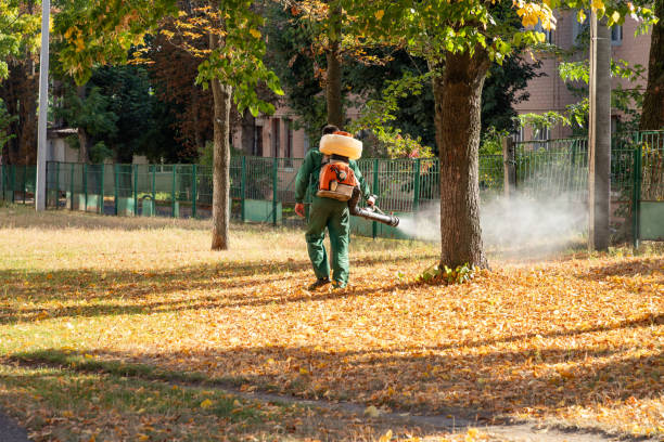 Best Insect Control  in , UT