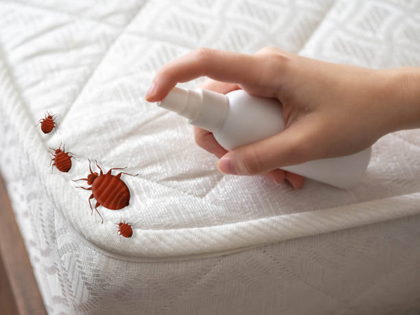 Best Affordable Pest Control Services  in , UT